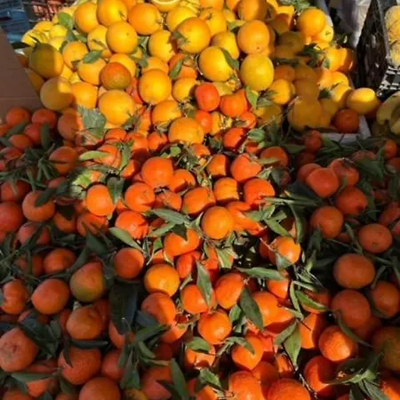 Playa De - Vinamar Vi アパート